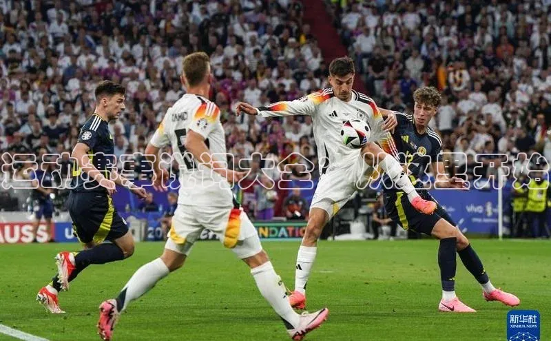 k1体育-十年品牌