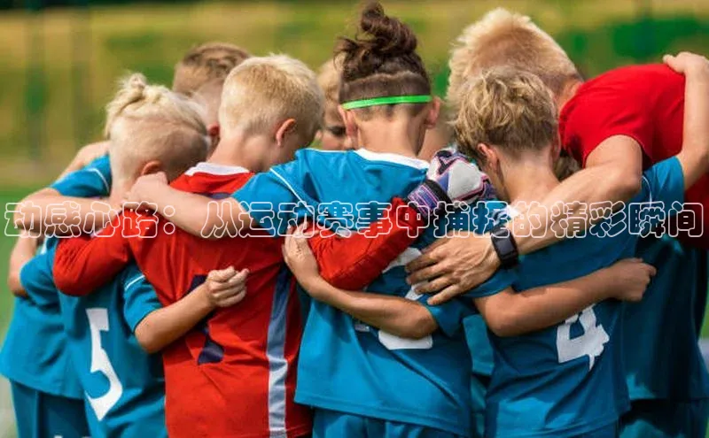 k1体育官网入口网址